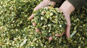 Foto Silage